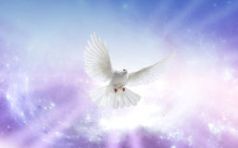Holy Spirit 5